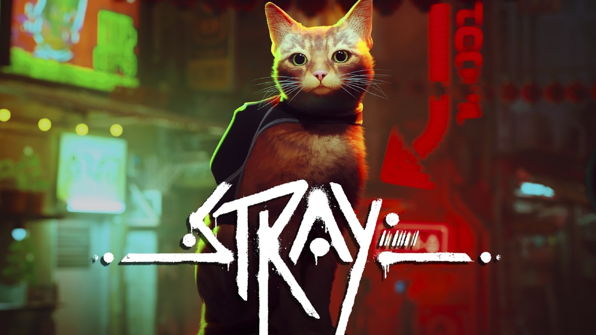 'Stray' Cat Video Game Brings Some Benefits To Real Cats