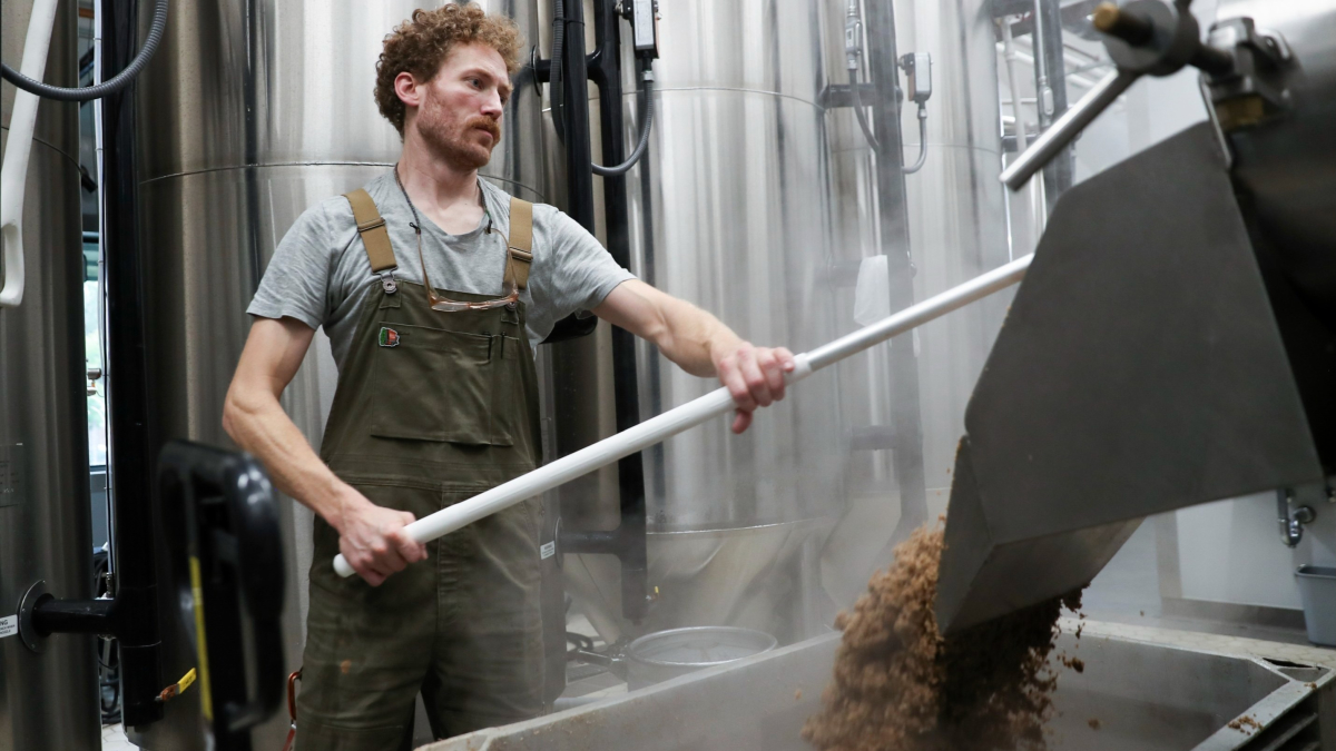 How Researchers, Farmers and Brewers Want to Safeguard Beer Against Climate Change