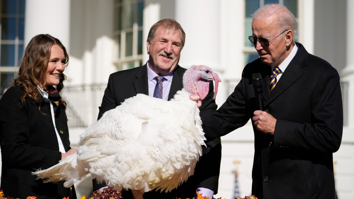 Biden Opens Holidays, Pardons Turkeys Chocolate and Chip