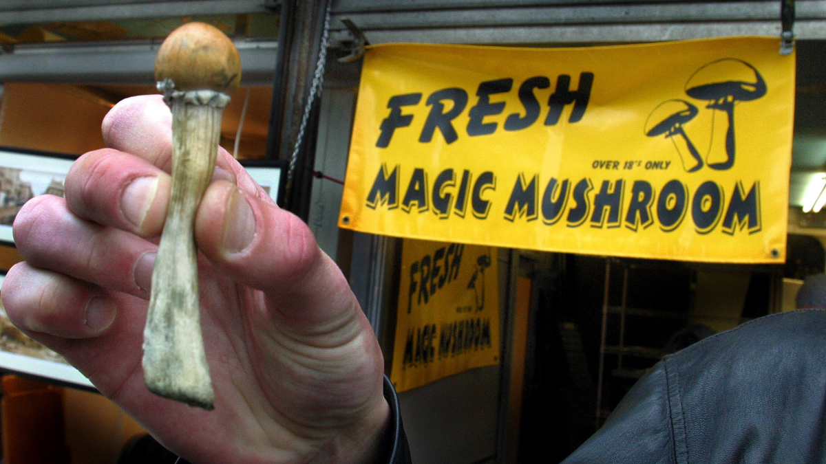 Hallucinogenic Mushrooms Are Having a Moment. Here's What It's All About.