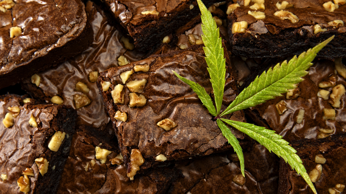 Company Weeds Out Competition, Bakes 850-Pound Pot Brownie