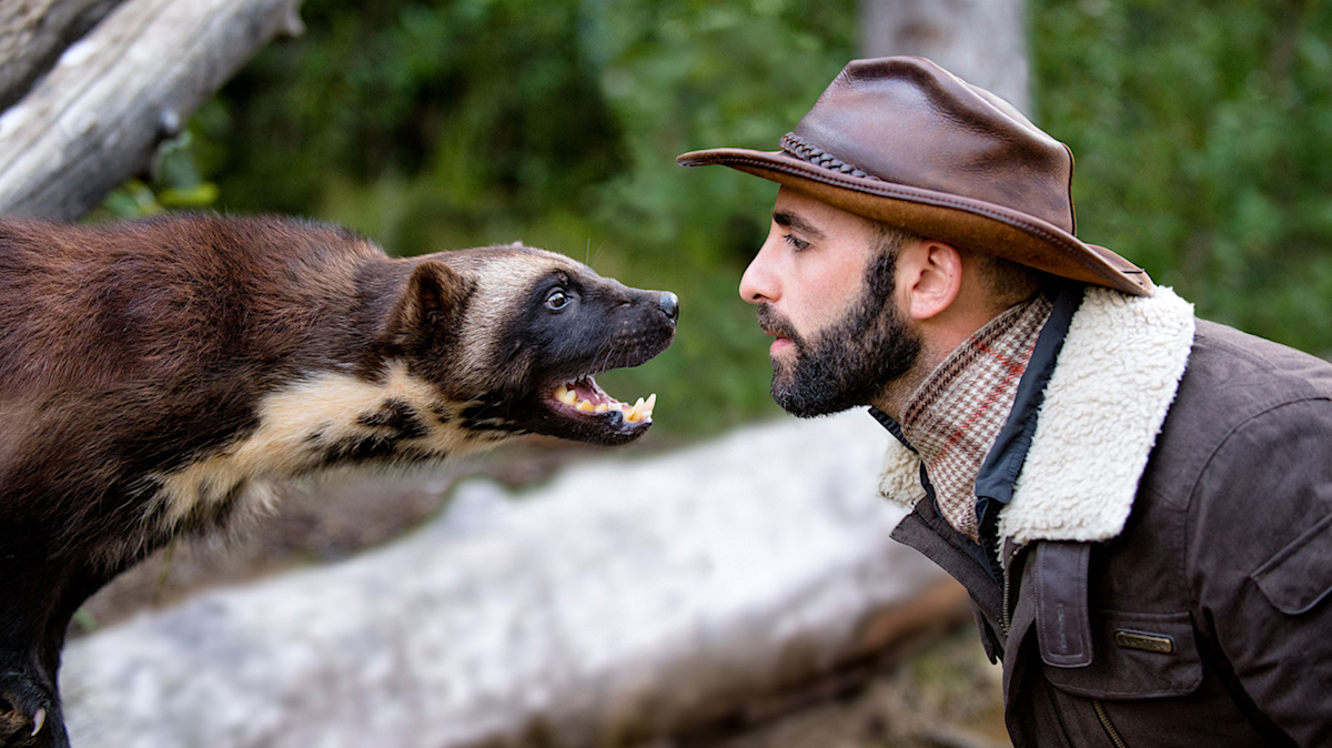 Coyote Peterson aka 'The King of Sting' Relives His Most Painful Memories