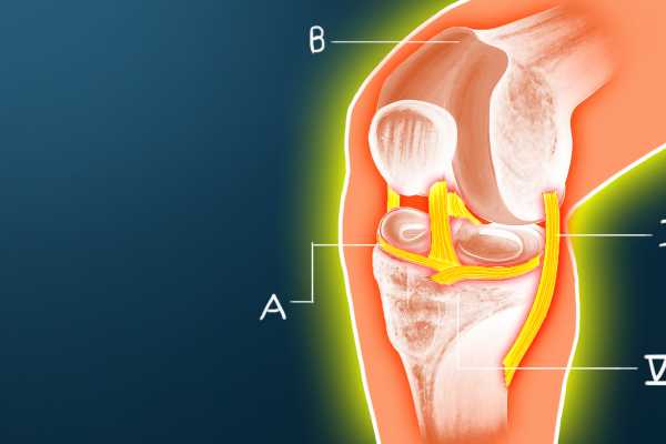 Why The Human Knee Is A Design Disaster