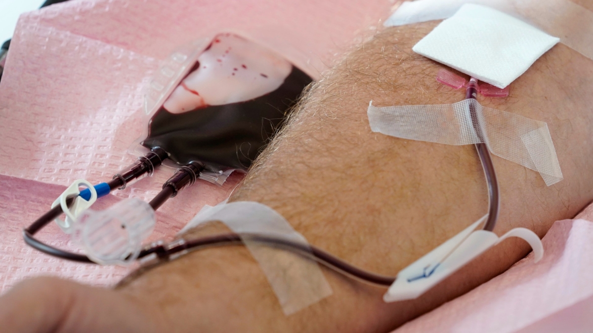New Blood Donation Rules Allow More Gay Men to Give in US