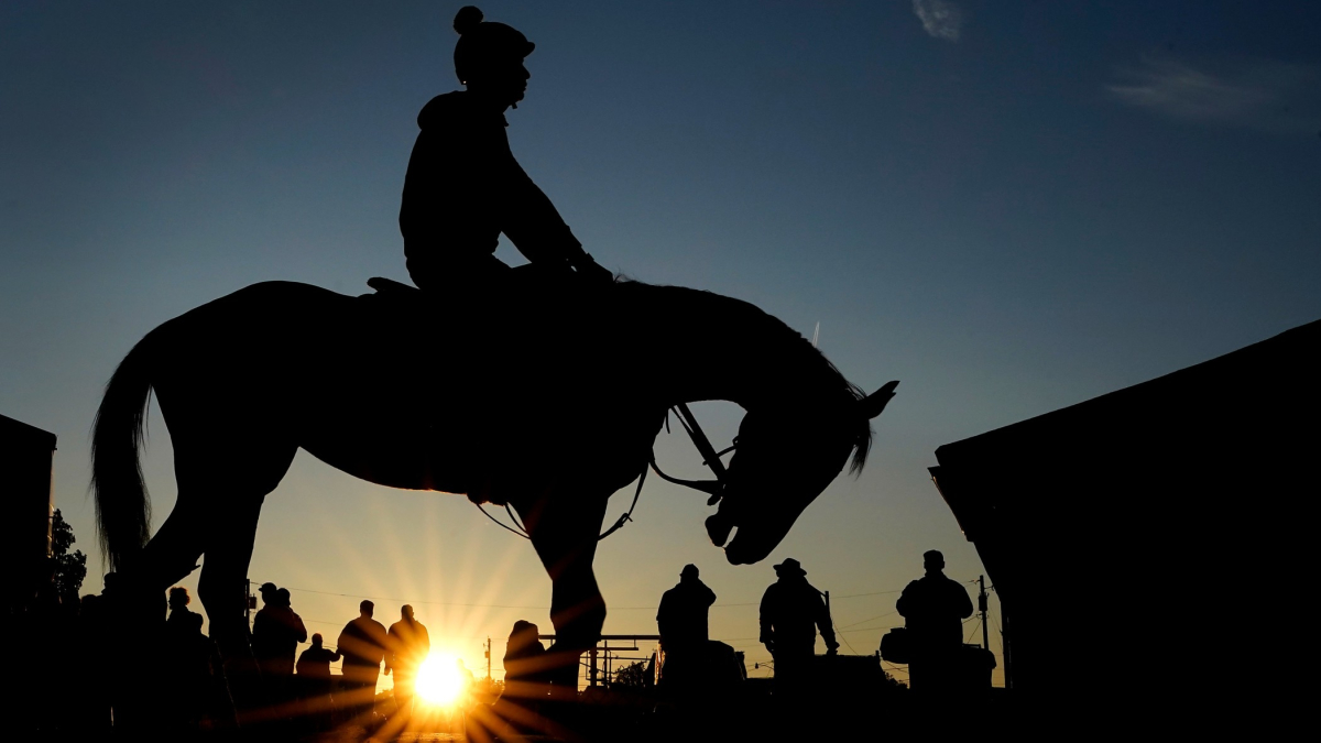 Trainer Suspended Over Horse Deaths Before Kentucky Derby